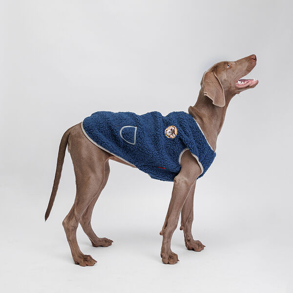 Жилетка-пальто для собак, 5XL, синяя