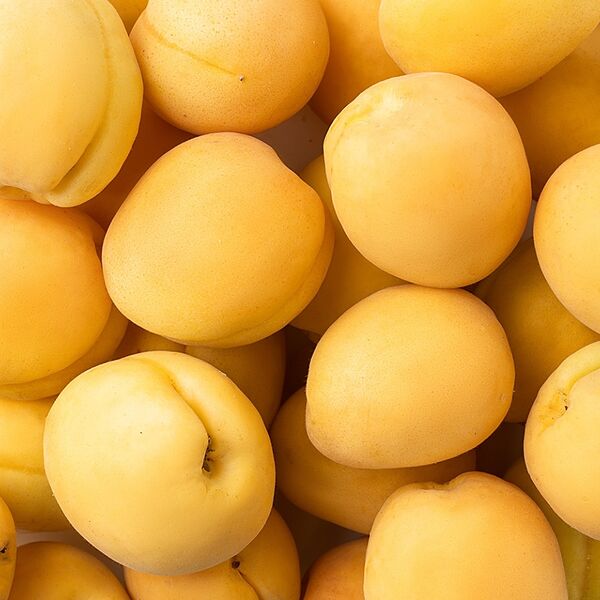 Абрикос Шалах, вес