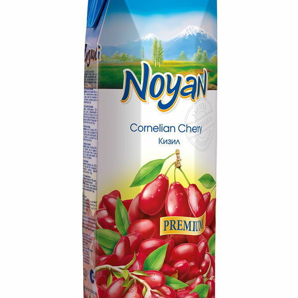 Нектар «Кизил», Noyan