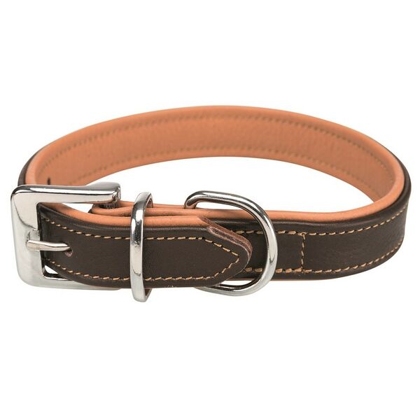 Ошейник Active Comfort для собак, XS–S, 21–32х2,5см, кожа