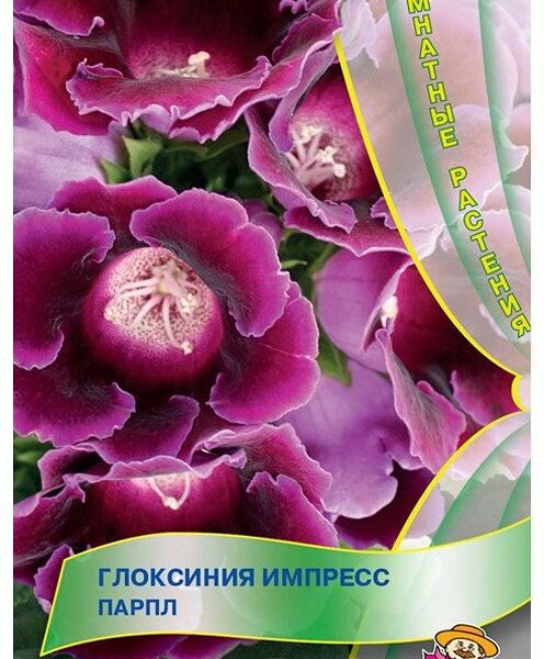 Семена Глоксиния Импресс парпл ТМ Поиск