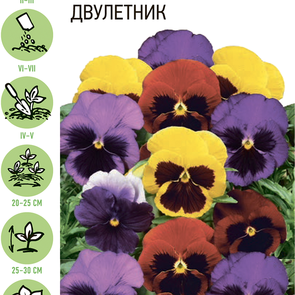 Семена УДАЧНЫЕ СЕМЕНА Виола Виттрока Барокко, смесь, 0,1г