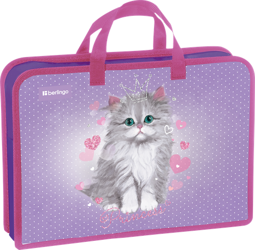 

Папка Berlingo А4, с ручками, 1 отделение, 34х24,5х7,5 см, пластик, на молнии, Арт. PTA47551/1