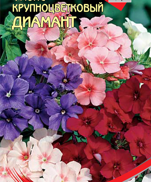 Семена Семена ДОМ СЕМЯН Флокс Диамант, 70шт