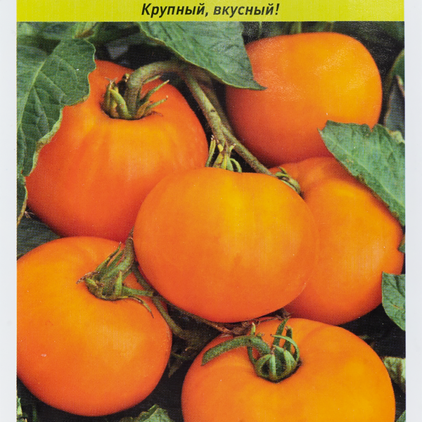 Семена РУССКИЙ ОГОРОД Томат Апельсин, 0,1г