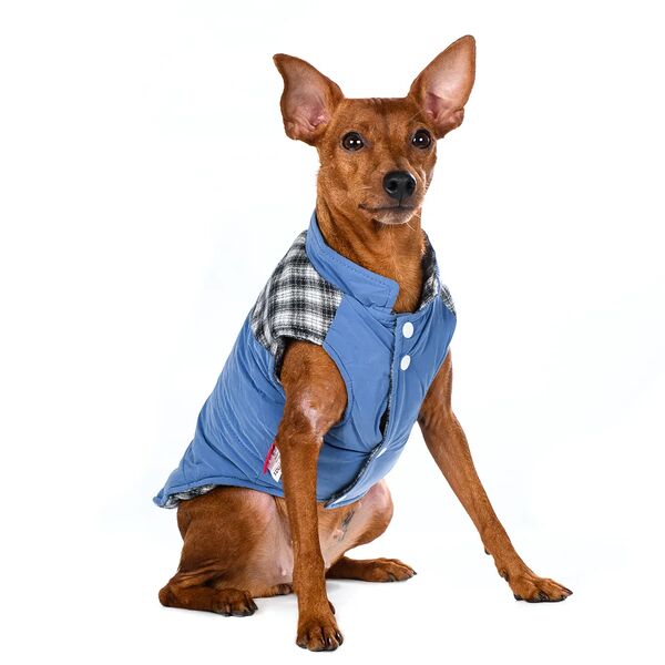 Куртка для собак 2XL синий (унисекс)