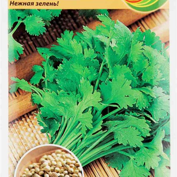 Кориандр Прелесть Русский Огород