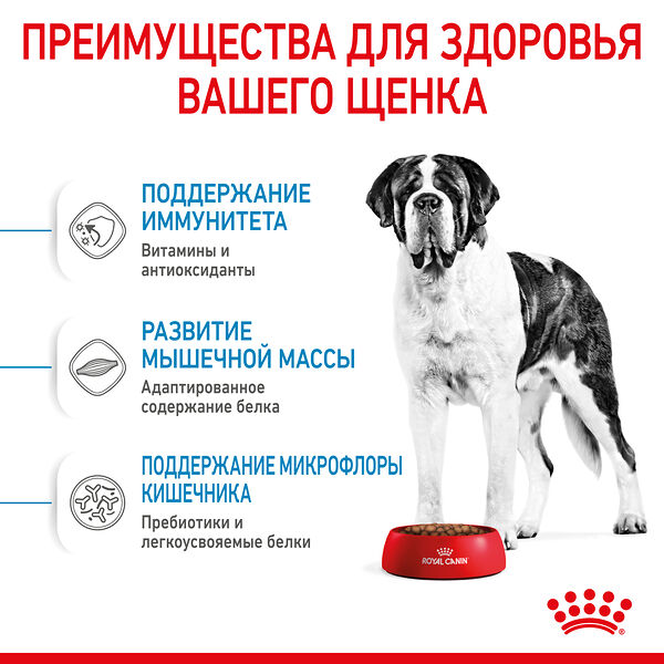 Royal Canin Giant Junior для щенков от 8 месяцев гигантских пород Курица