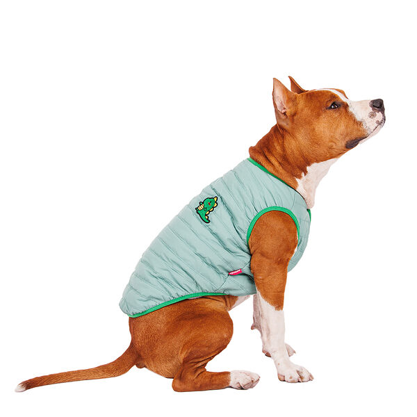 Жилетка для собак с дракошей 3XL (унисекс)