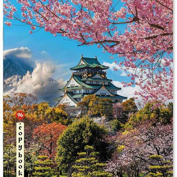 Тетрадь А5 клетка ErichKrause 58292 дизайн в ассортименте, 96 листов