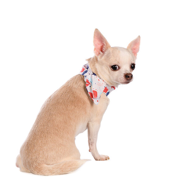 Галстук-бант белый с пятнами 5см*50см