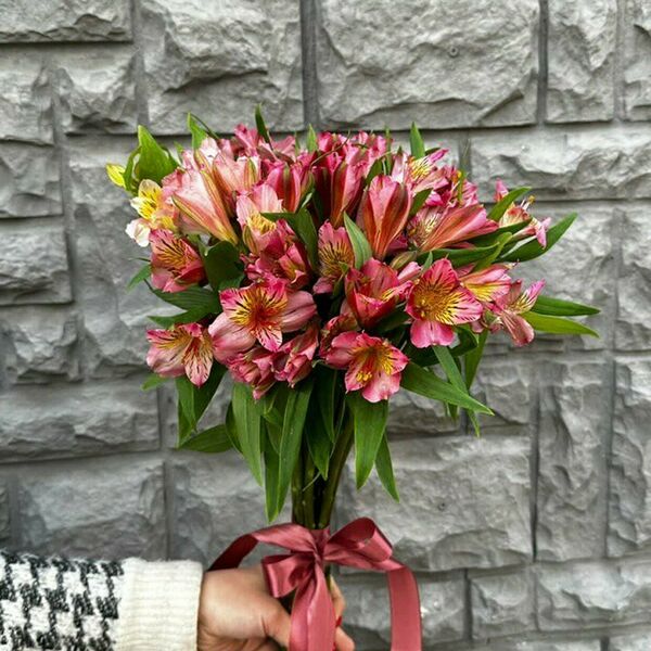 Монобукет из 13 нежных альстромерий