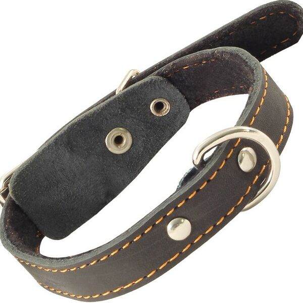 Гамма ошейник кожаный на синтепоне с кольцом 45 см.