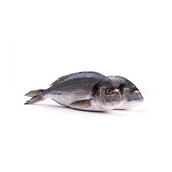 Дорада охлаждённая