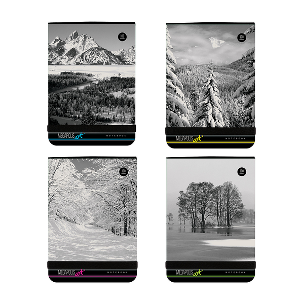 Блокнот вертикальный Bruno Visconti А6 100 листов Megapolis Art на резинке (Природа) 4 вида