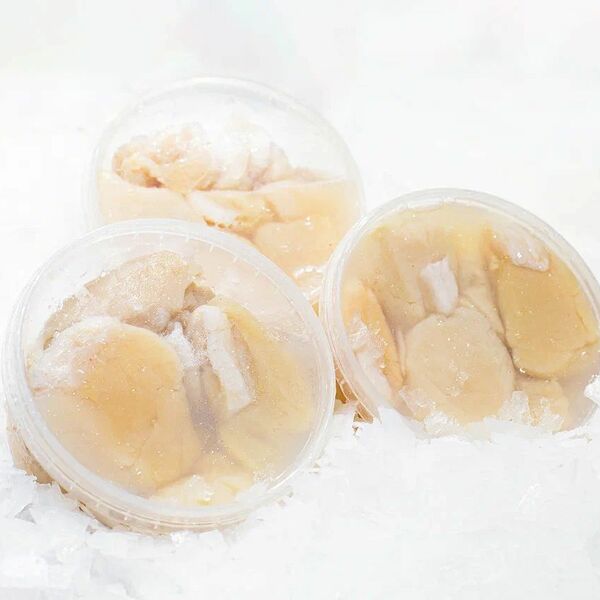 Гребешок курильский охлажденный