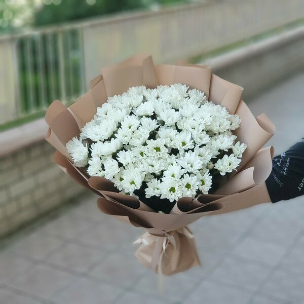 Белые ромашки