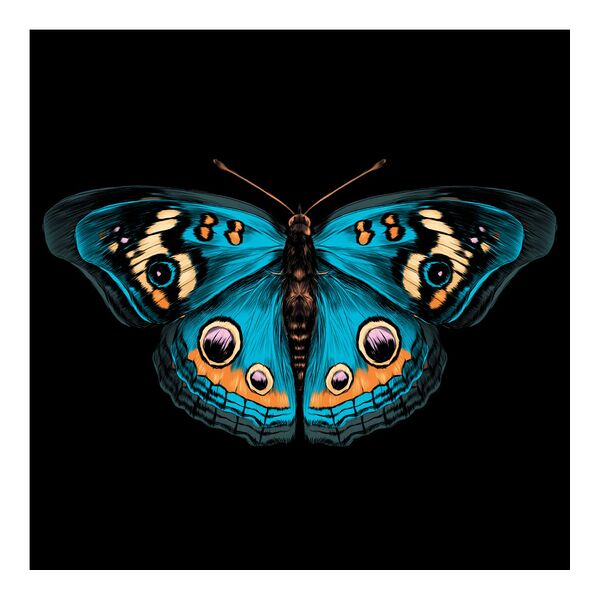 Картина на стекле Бабочка Юнониа, 40х40 см