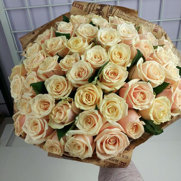 Кремовая роза