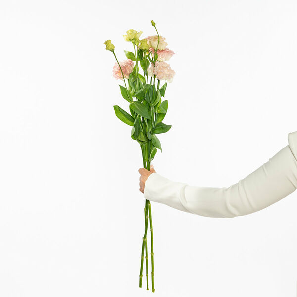 3 розовые эустомы