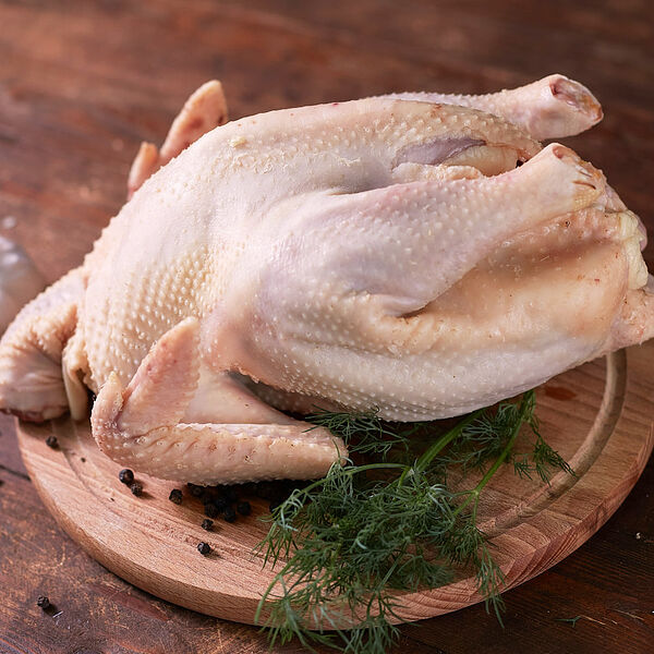 Курица суповая домашняя