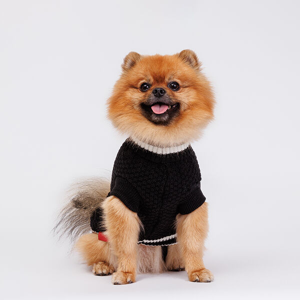Свитер для собак, 45 см, черный