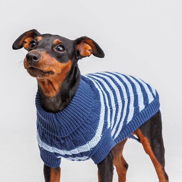 Свитер полосатый для собак, 20 см, синий
