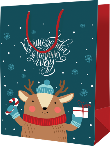 

Пакет подарочный ARTSPACE Happy deer, 18х23х10см