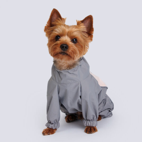 Дождевик с мембраной и водонепроницаемой застежкой для йорка и чихуа, L, бежевый (мальчик)