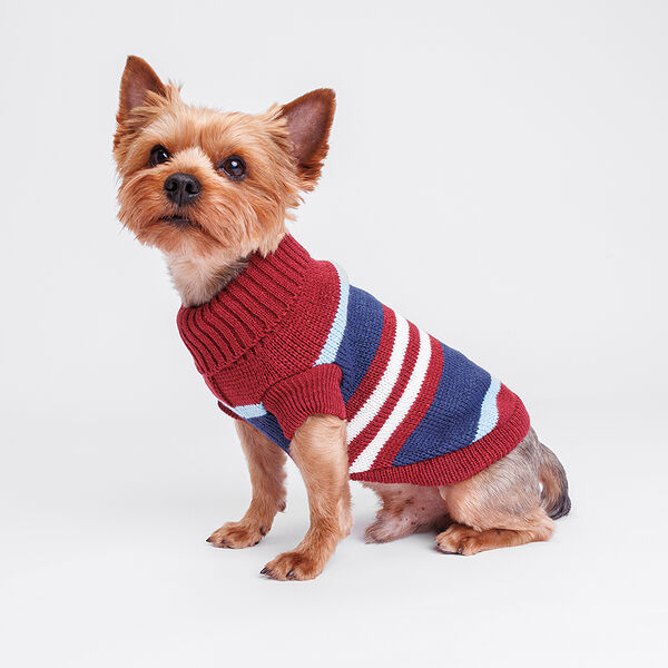 Свитер полосатый для собак, 30 см, бордовый