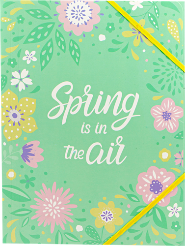 

Папка для бумаг Spring is in the air на резинках 20.3x31 см
