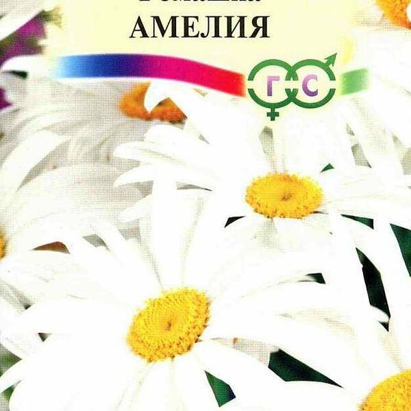 Семена Ромашка Амелия ТМ Гавриш