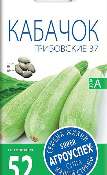 Семена Агроуспех Кабачок Грибовский 37 3г