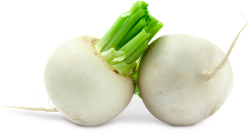 

Редька белая вес