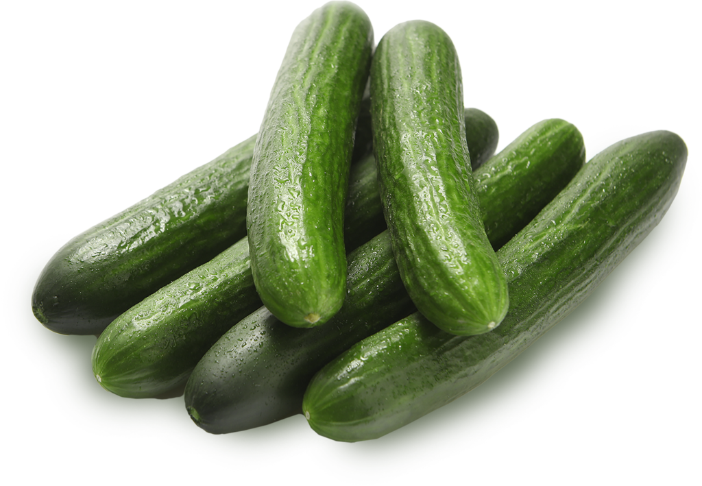 

Огурцы среднеплодные гладкие