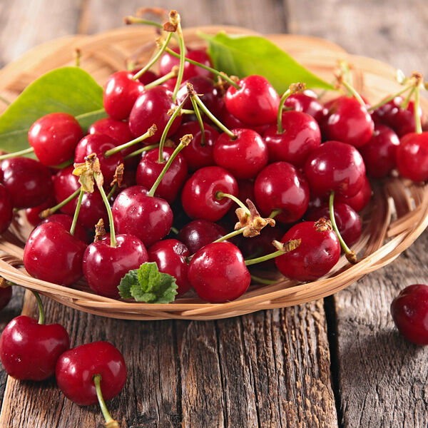 Вишня без косточки