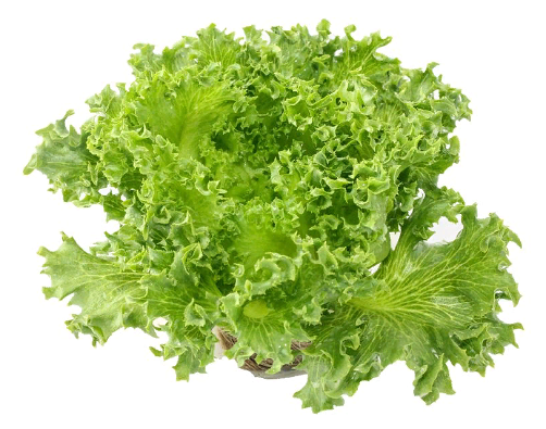 Салат Фриллис