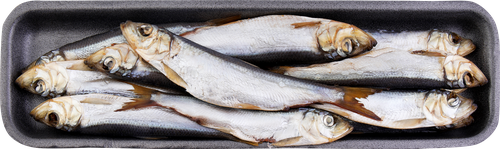 

Салака холодного копчения Экстра Фиш неразделанная, весовая