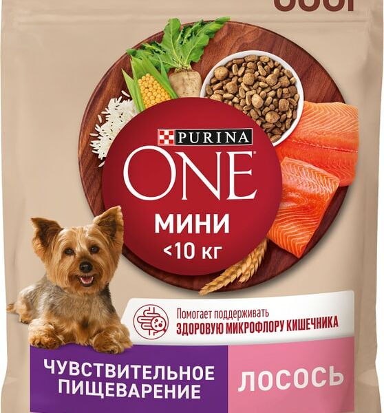 Сухой корм для собак Purina ONE для мелких пород с чувствительным пищеварением с лососем и рисом 600г