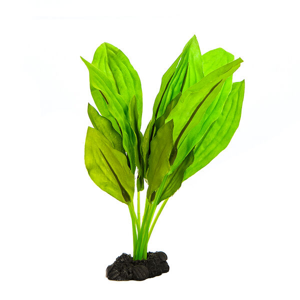 Декор для аквариума Растение шелковое Эхинодорус Селовианус, 20см
