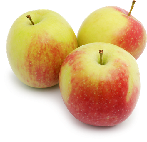 Яблоки Слава Победителям вес до 500