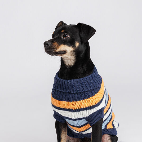 Свитер полосатый для собак, 45 см, оранжево-голубой
