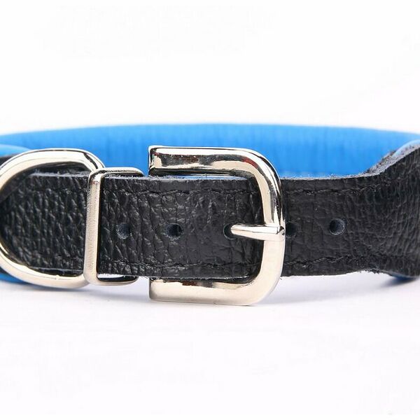 ZOOLESZCZ Ошейник для собак 