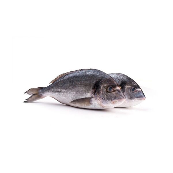 Дорада Турция