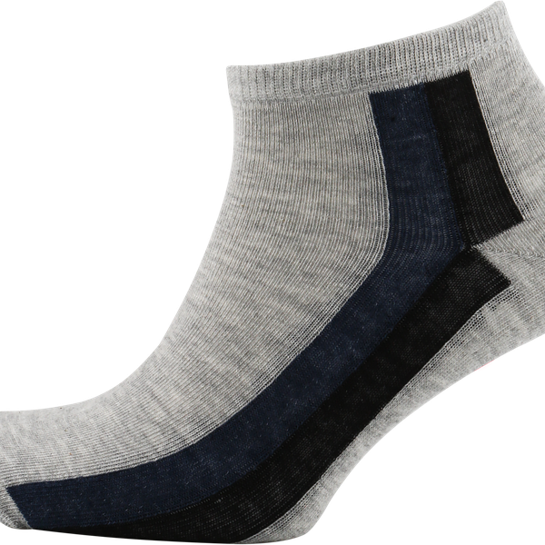 Носки мужские INWIN р.25, Арт. BMS18, 3пары