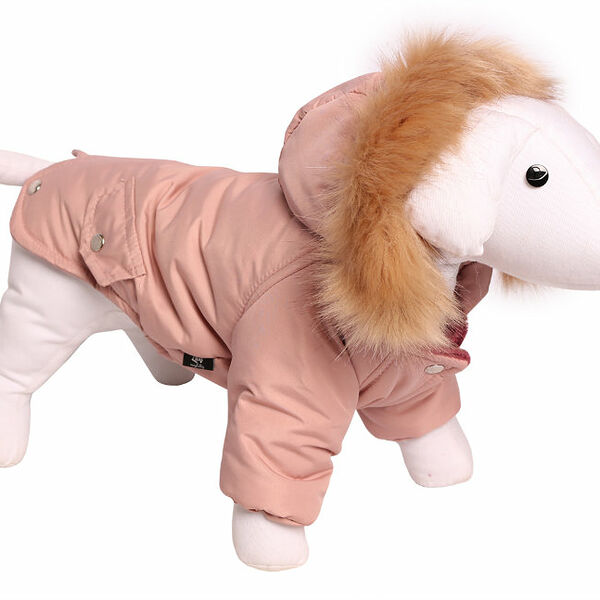 Lion Зимняя куртка для собак 