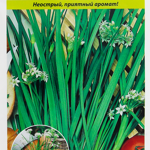 Семена РУССКИЙ ОГОРОД Лук душистый Пикантный, 0,5г