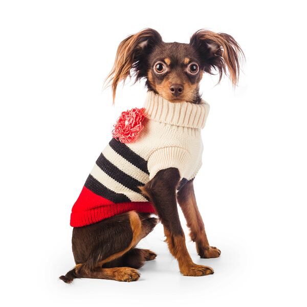 Свитер для собак, 55 см, размер 4XL, красный (унисекс)