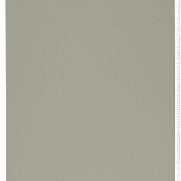 Рулонные шторы Эскар Blackout отражающий бежевый 120x170 см