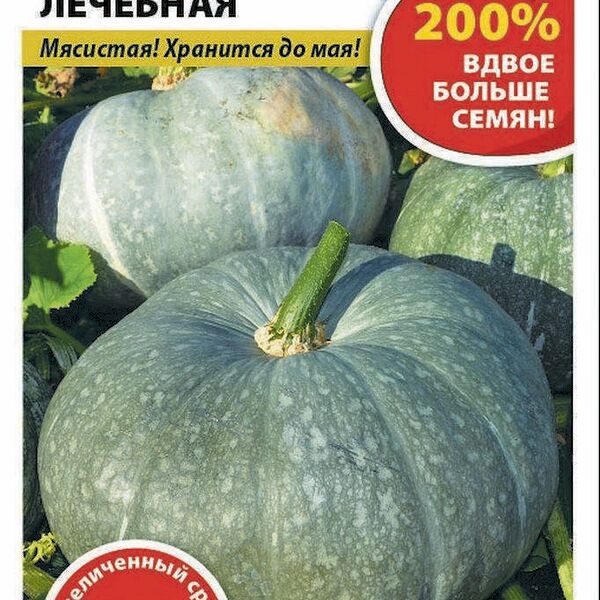 Тыква Лечебная (200% NEW) 